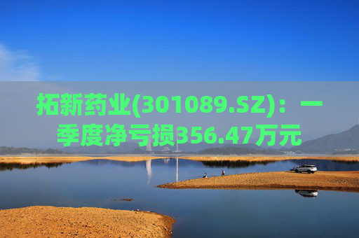拓新药业(301089.SZ)：一季度净亏损356.47万元