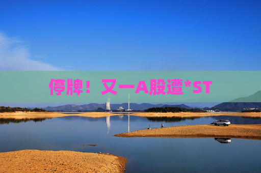 停牌！又一A股遭*ST  第1张