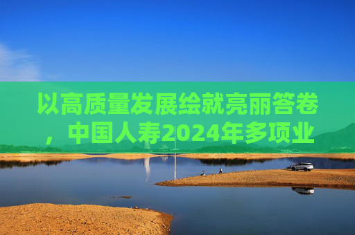 以高质量发展绘就亮丽答卷，中国人寿2024年多项业绩指标创历史最好水平  第1张