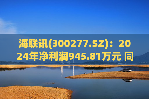海联讯(300277.SZ):2024年净利润945.81万元 同比下降12.5%