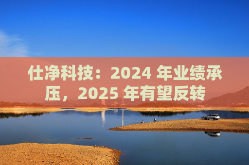 仕净科技：2024 年业绩承压，2025 年有望反转  第1张