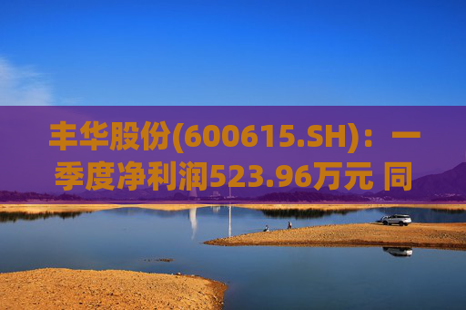 丰华股份(600615.SH)：一季度净利润523.96万元 同比增长645.11%  第1张