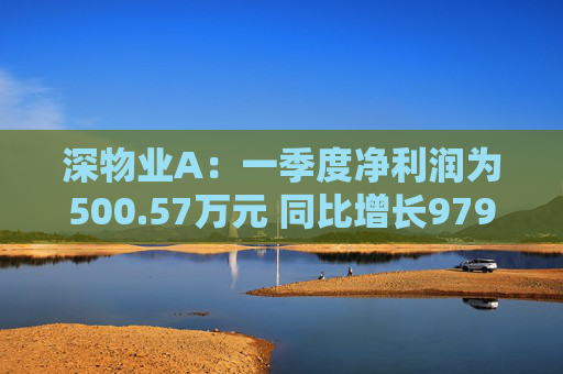 深物业A：一季度净利润为500.57万元 同比增长979.79%  第1张