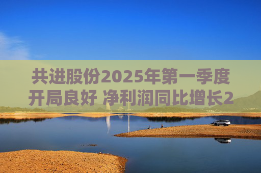 共进股份2025年第一季度开局良好 净利润同比增长267.63%
