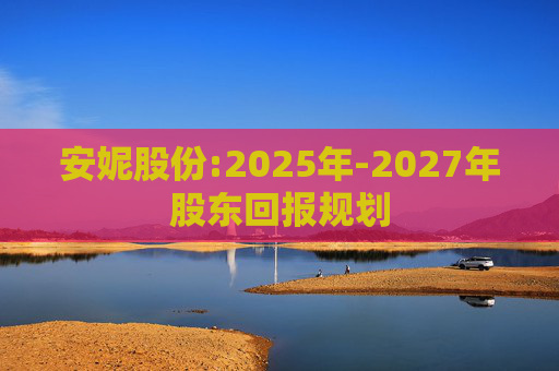 安妮股份:2025年-2027年股东回报规划