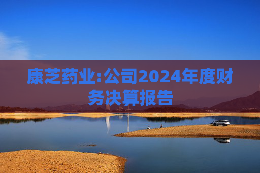 康芝药业:公司2024年度财务决算报告  第1张