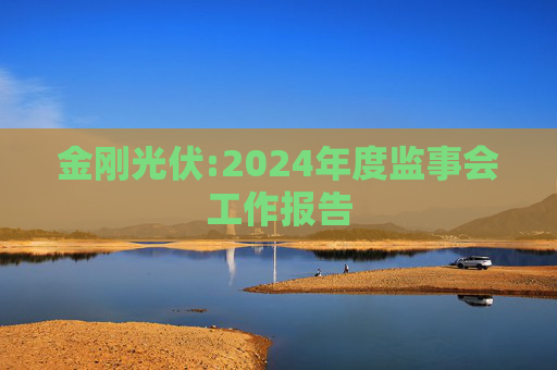 金刚光伏:2024年度监事会工作报告