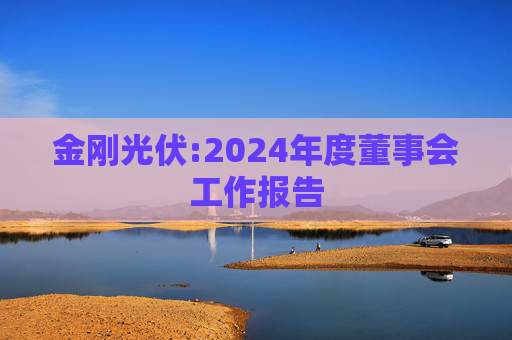 金刚光伏:2024年度董事会工作报告  第1张