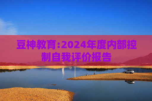 豆神教育:2024年度内部控制自我评价报告  第1张