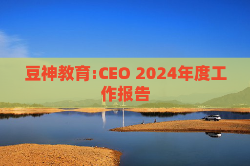 豆神教育:CEO 2024年度工作报告  第1张