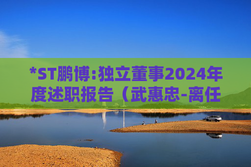 *ST鹏博:独立董事2024年度述职报告（武惠忠-离任）