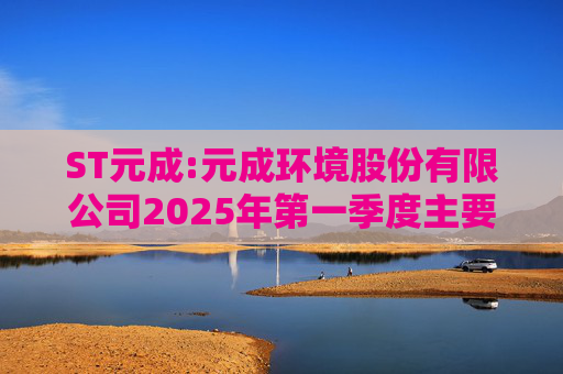 ST元成:元成环境股份有限公司2025年第一季度主要经营数据的公告