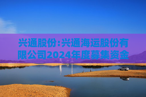 兴通股份:兴通海运股份有限公司2024年度募集资金存放与实际使用情况专项报告  第1张