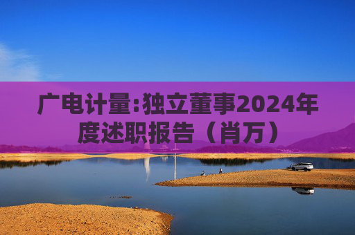 广电计量:独立董事2024年度述职报告（肖万）  第1张