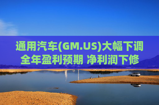 通用汽车(GM.US)大幅下调全年盈利预期 净利润下修至82亿-101亿美元  第1张