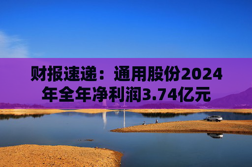 财报速递：通用股份2024年全年净利润3.74亿元