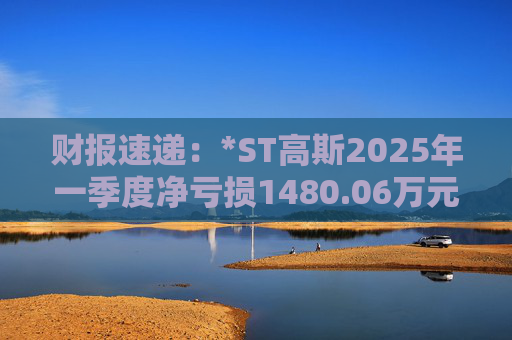 财报速递:*ST高斯2025年一季度净亏损1480.06万元 第1张 财报速递:*ST高斯2025年一季度净亏损1480.06万元 第1张