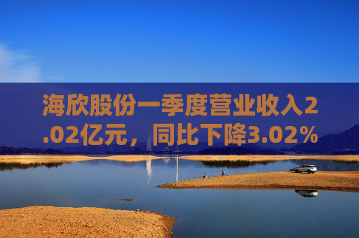 海欣股份一季度营业收入2.02亿元，同比下降3.02%