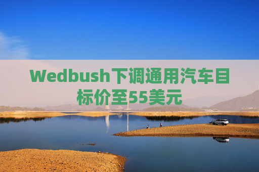 Wedbush下调通用汽车目标价至55美元