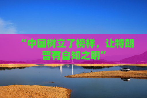 “中国树立了榜样，让特朗普有自知之明”