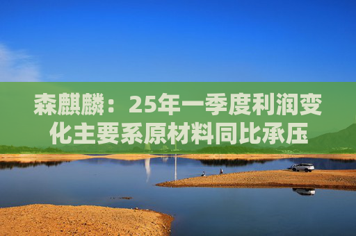 森麒麟：25年一季度利润变化主要系原材料同比承压  第1张