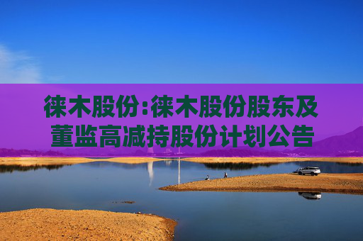 徕木股份:徕木股份股东及董监高减持股份计划公告
