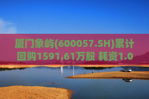 厦门象屿(600057.SH)累计回购1591.61万股 耗资1.03亿元  第1张