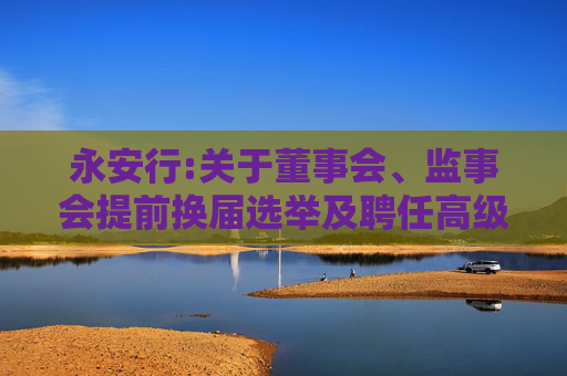 永安行:关于董事会、监事会提前换届选举及聘任高级管理人员的公告