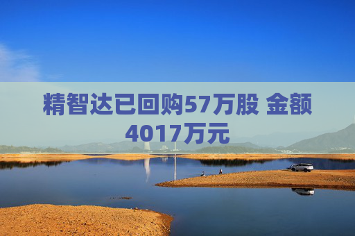 精智达已回购57万股 金额4017万元 第1张 精智达已回购57万股 金额4017万元 第1张