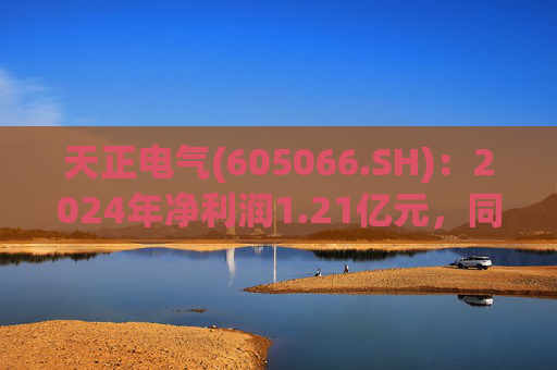 天正电气(605066.SH)：2024年净利润1.21亿元，同比下降24.94%  第1张
