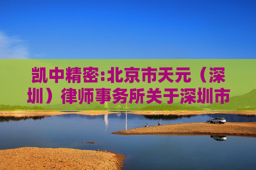 凯中精密:北京市天元（深圳）律师事务所关于深圳市凯中精密技术股份有限公司2024年年度股东大会的法律意见