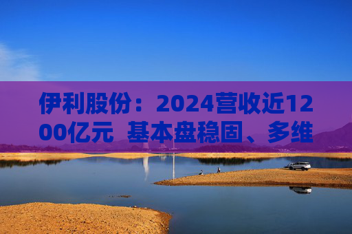 伊利股份：2024营收近1200亿元  基本盘稳固、多维度全面进阶 第1张