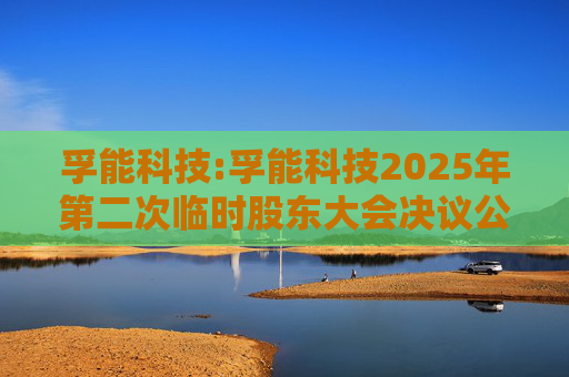 孚能科技:孚能科技2025年第二次临时股东大会决议公告  第1张