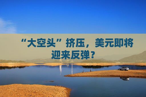 “大空头”挤压,美元即将迎来反弹?