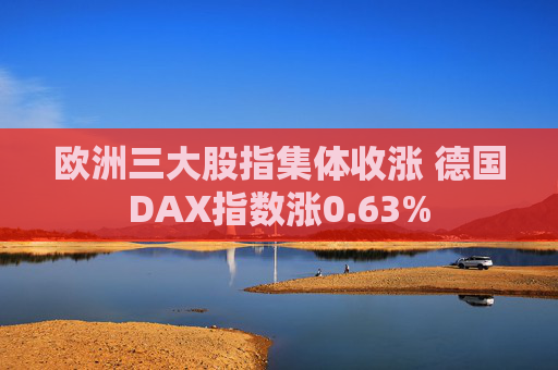 欧洲三大股指集体收涨 德国DAX指数涨0.63%