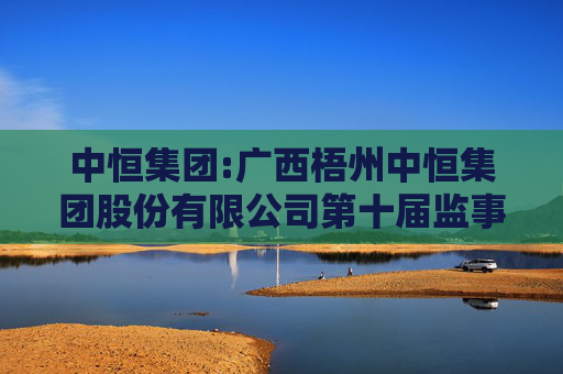 中恒集团:广西梧州中恒集团股份有限公司第十届监事会第十三次会议决议公告  第1张