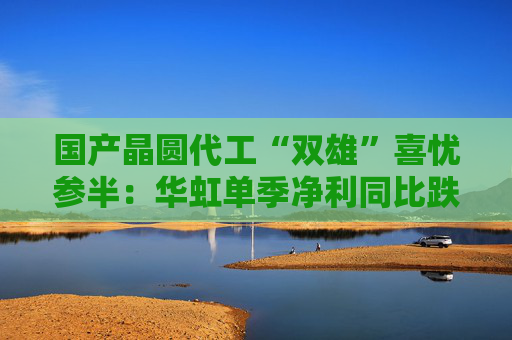 国产晶圆代工“双雄”喜忧参半：华虹单季净利同比跌近9成，中芯国际大涨166.5%