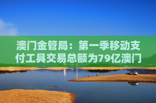 澳门金管局:第一季移动支付工具交易总额为79亿澳门元 同比上升8.7%