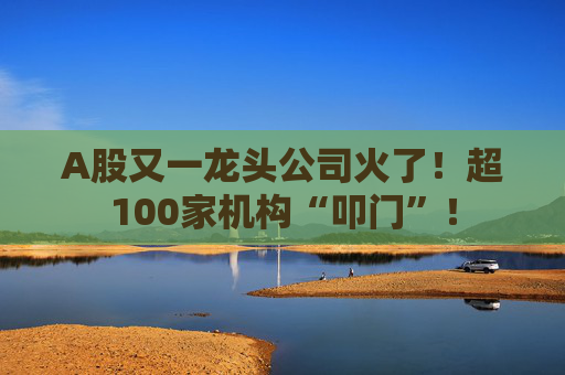 A股又一龙头公司火了！超100家机构“叩门”！