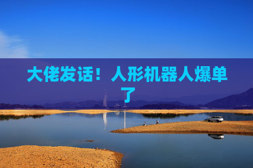 大佬发话！人形机器人爆单了  第1张