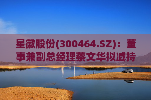 星徽股份(300464.SZ)：董事兼副总经理蔡文华拟减持20.25万股