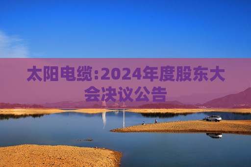 太阳电缆:2024年度股东大会决议公告  第1张