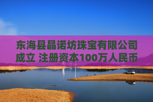 东海县晶诺坊珠宝有限公司成立 注册资本100万人民币  第1张
