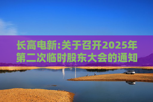 长高电新:关于召开2025年第二次临时股东大会的通知  第1张