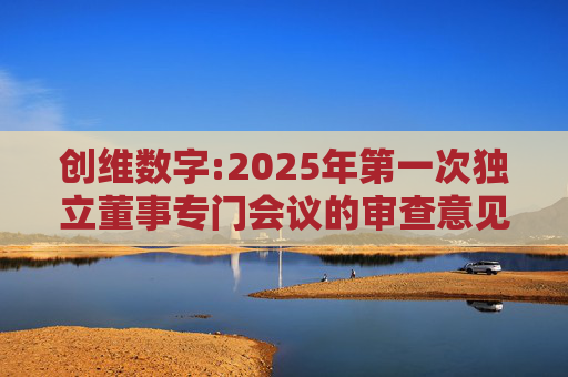 创维数字:2025年第一次独立董事专门会议的审查意见  第1张