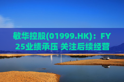 敏华控股(01999.HK)：FY25业绩承压 关注后续经营改善  第1张