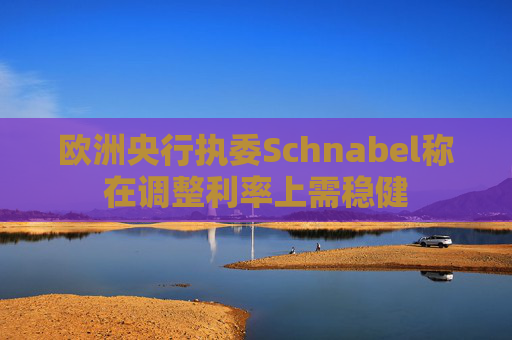 欧洲央行执委Schnabel称在调整利率上需稳健