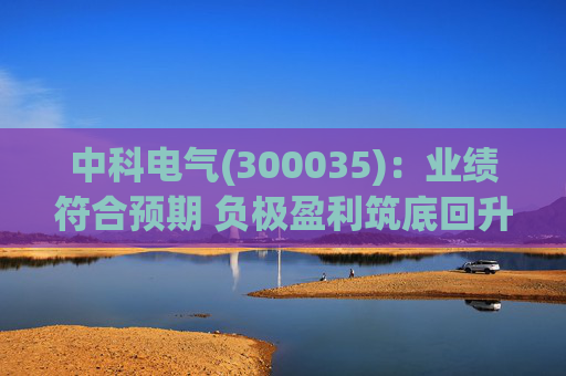 中科电气(300035)：业绩符合预期 负极盈利筑底回升  第1张