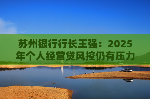 苏州银行行长王强:2025年个人经营贷风控仍有压力,但不会造成冲击