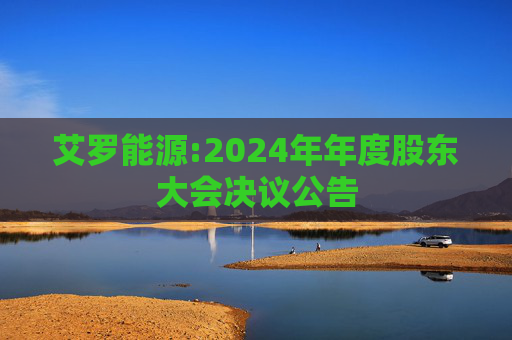 艾罗能源:2024年年度股东大会决议公告